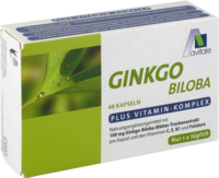 GINKGO 100 mg Kapseln+B1+C+E