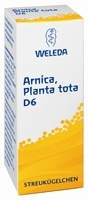 ARNICA PLANTA tota D 6 Globuli